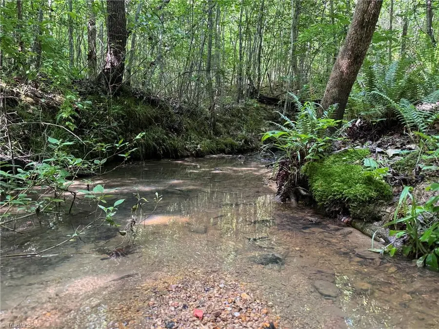 Tract 5 Dover Church Road, Seagrove, NC 27341 - #3