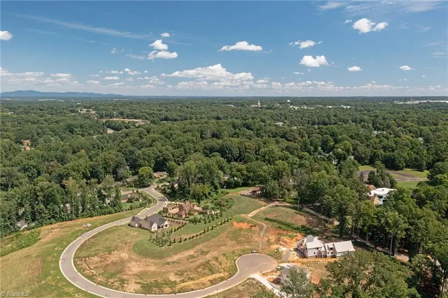 724 Linden Green Way, Winston Salem, NC 27106 - #3