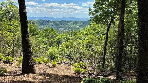 T23 Widow Mountain Drive, Hays, NC 28635
