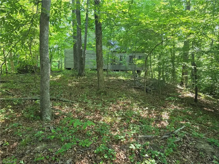 1055 Ed Booth Road, Westfield, NC 27053 - #3