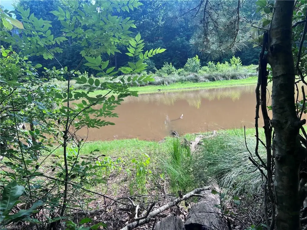 000 Goat Road, Catawba, NC 28609 - #1