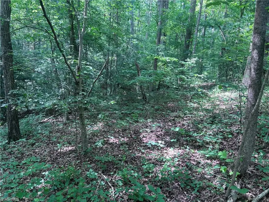 000 Goat Road, Catawba, NC 28609 - #2