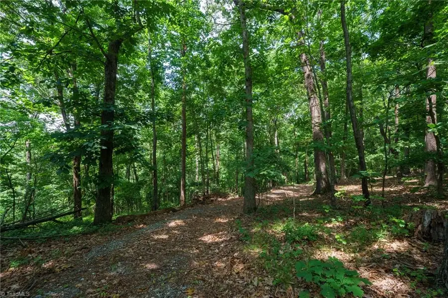 00 Hendren Road, Moravian Falls, NC 28654 - #2