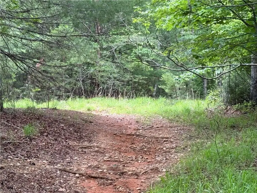 0 Old Lowgap Road, Lowgap, NC 27024 - #1