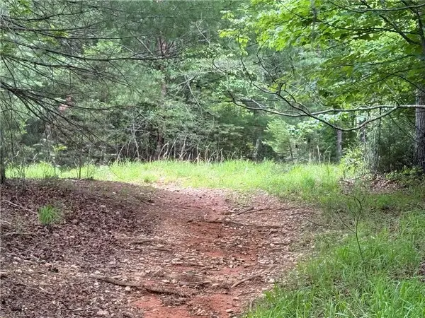 0 Old Lowgap Road, Lowgap, NC 27024