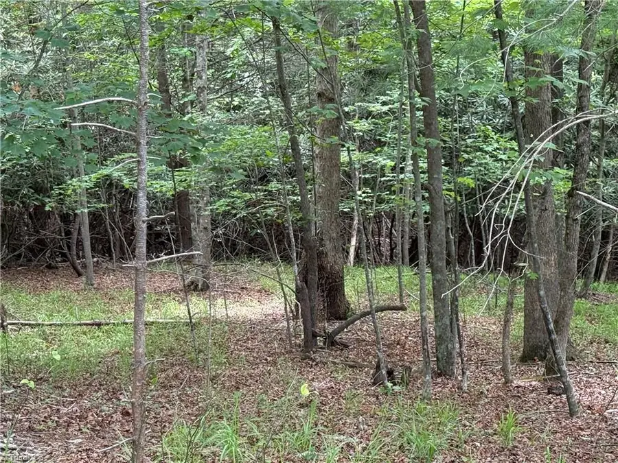0 Old Lowgap Road, Lowgap, NC 27024 - #3
