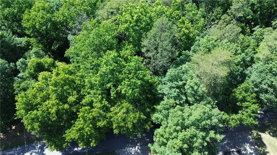 Lot 44 Cemetery Street, Ronda, NC 28670 - #3