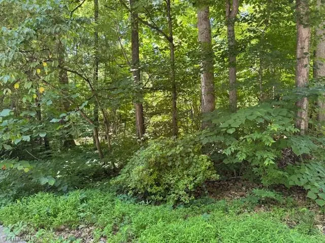 271 Holly Lane, Mocksville, NC 27028 - #1