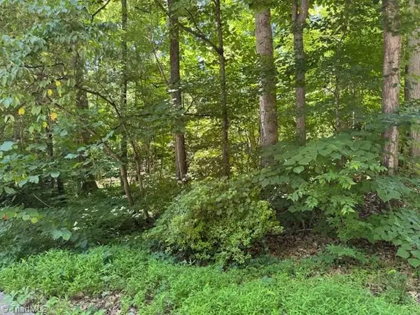271 Holly Lane, Mocksville, NC 27028