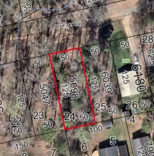 00 Blue Jay Drive, Lexington, NC 27292 - #1