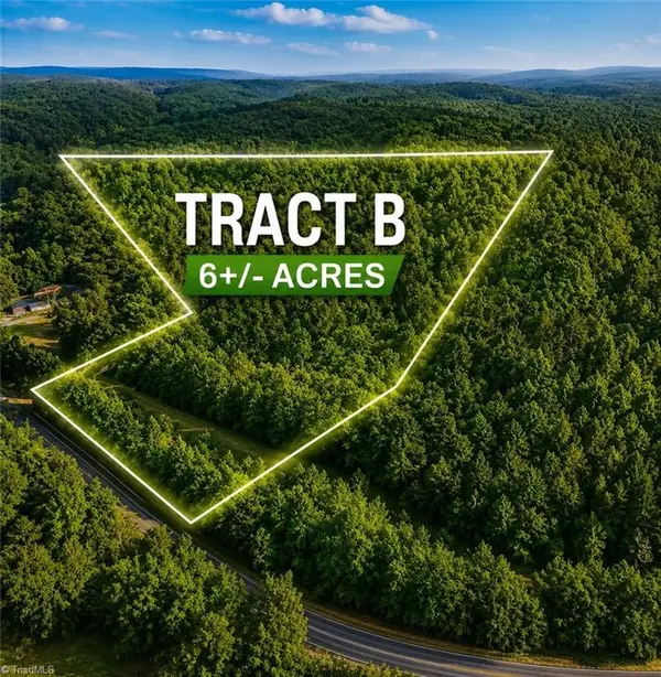 TBD TRACT B Bellview Road, Robbins, NC 27325