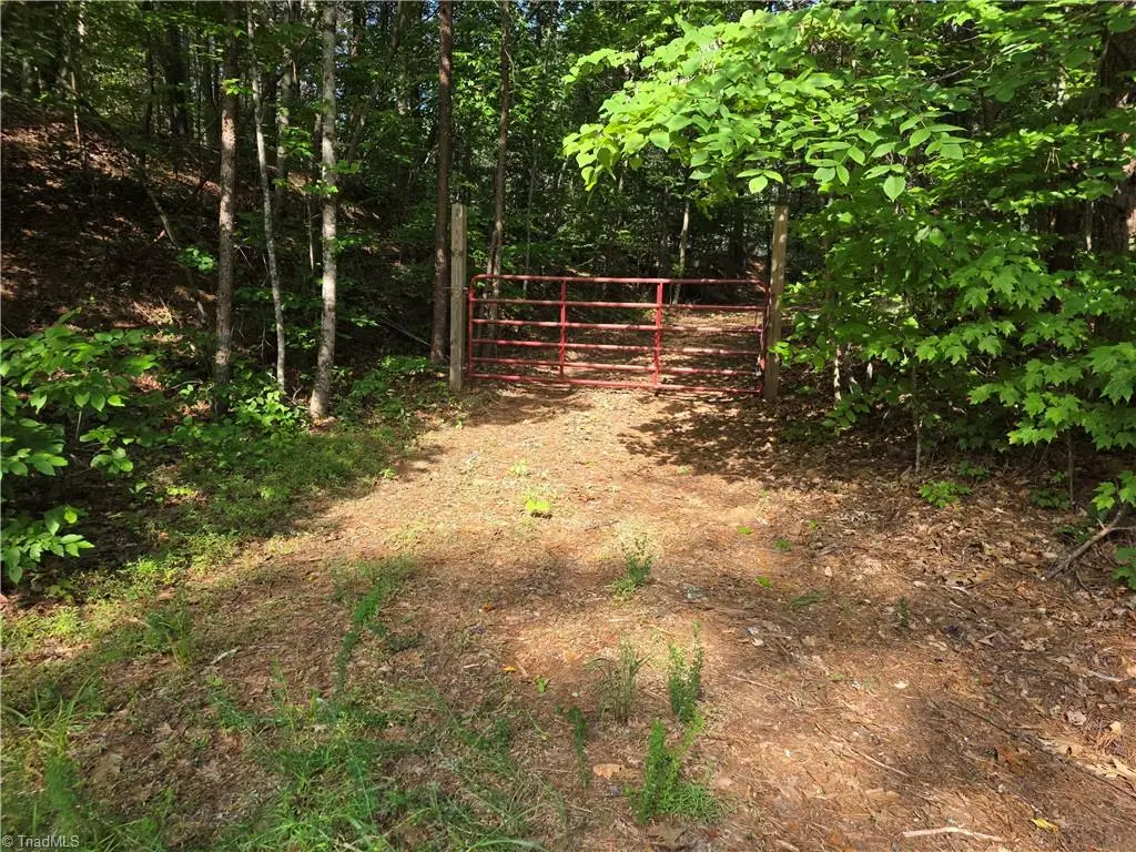 xx 31.85 +-ac Hampton Road, Germanton, NC 27019 - #1