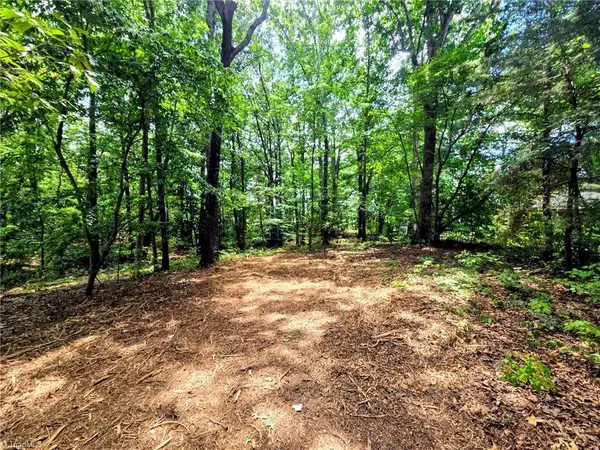 0 Idlewild Drive, Randleman, NC 27317