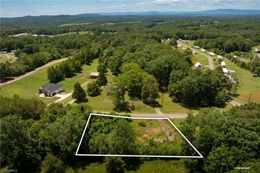 309 Ararat Longhill Road, Pilot Mountain, NC 27041 - #2