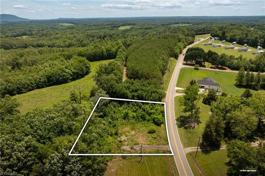309 Ararat Longhill Road, Pilot Mountain, NC 27041 - #3