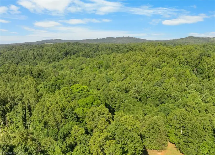 000 Echo Hollar Road, Westfield, NC 27053 - #2