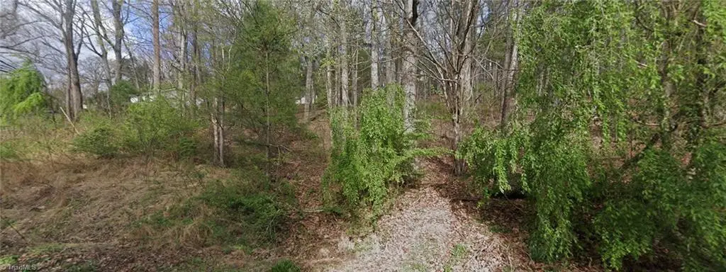 TBD Laurel Mountain Road, North Wilkesboro, NC 28659 - #1