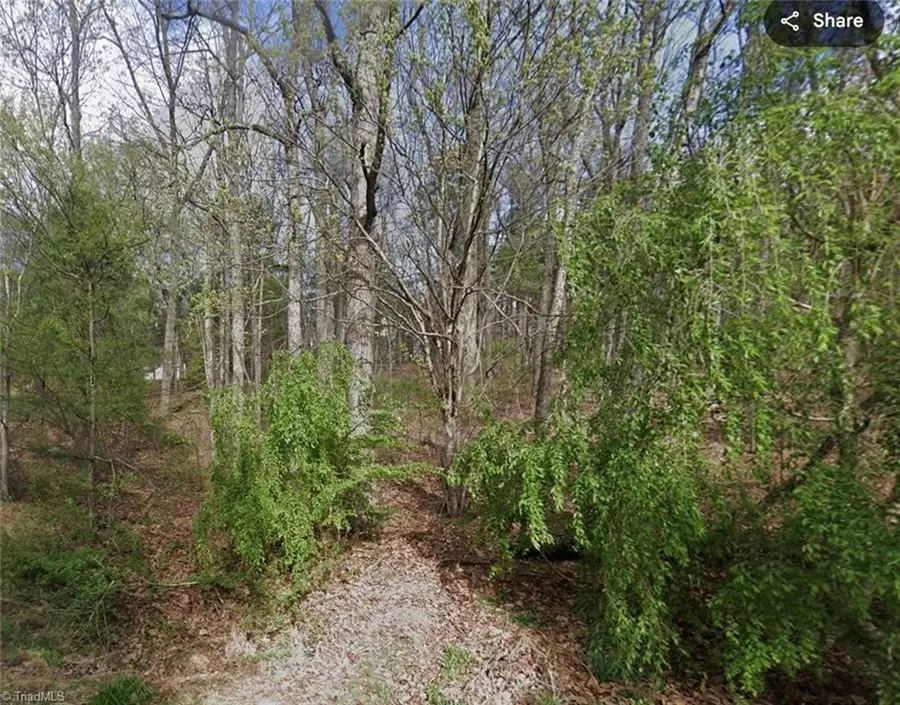 TBD Laurel Mountain Road, North Wilkesboro, NC 28659 - #2