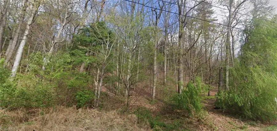 TBD Laurel Mountain Road, North Wilkesboro, NC 28659 - #3