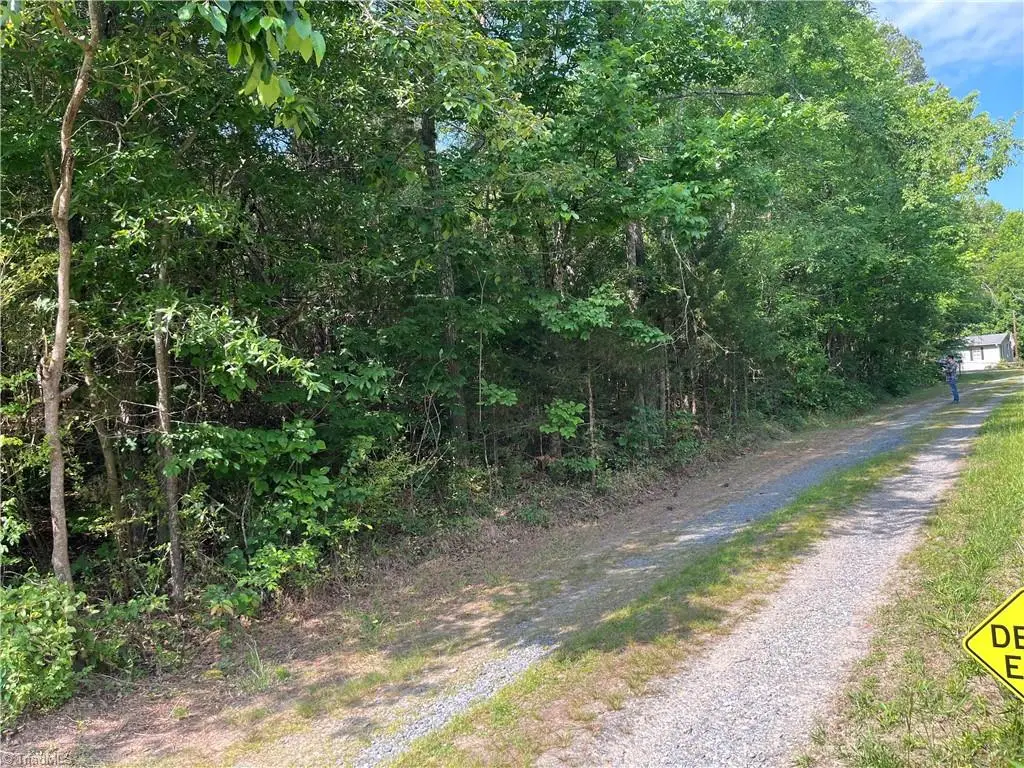 0 Silver Maple Road, Sophia, NC 27350 - #1