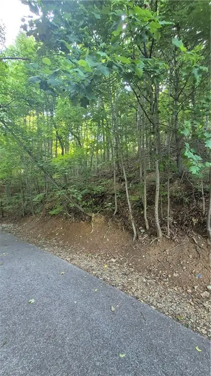 00 Town N Country Drive, Wilkesboro, NC 28697 - #3