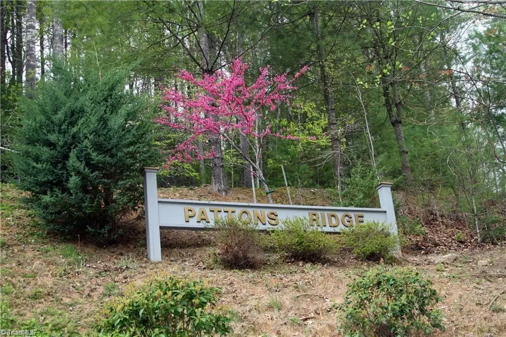 6 Laurel Road, Purlear, NC 28665 - #1