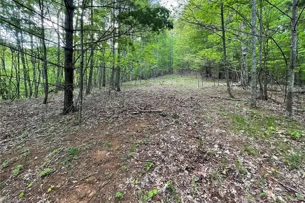 TBD Edwin Blevins Road, Jefferson, NC 28640