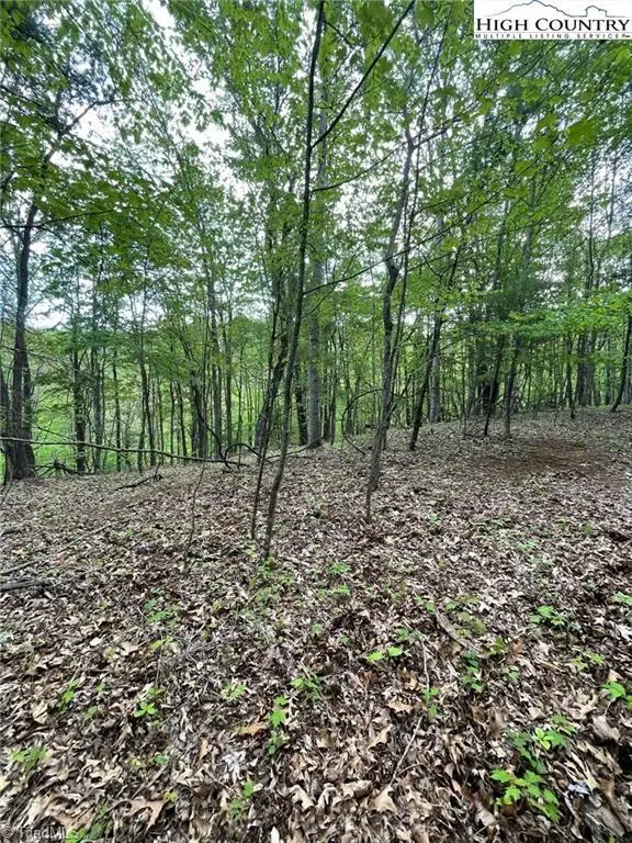 TBD Edwin Blevins Road, Jefferson, NC 28640 - #2