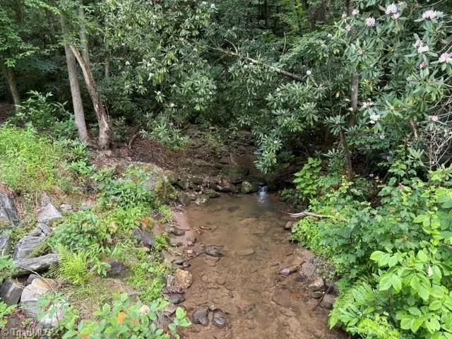 0 Shell Creek Road, Ferguson, NC 28624 - #2