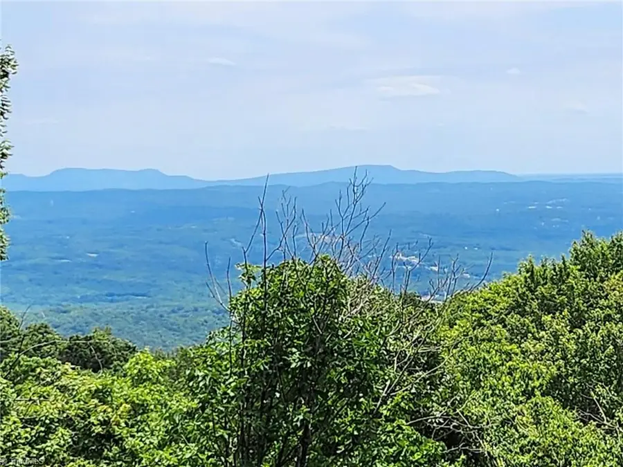 54 Windermere Way, Fancy Gap, VA 24328 - #3