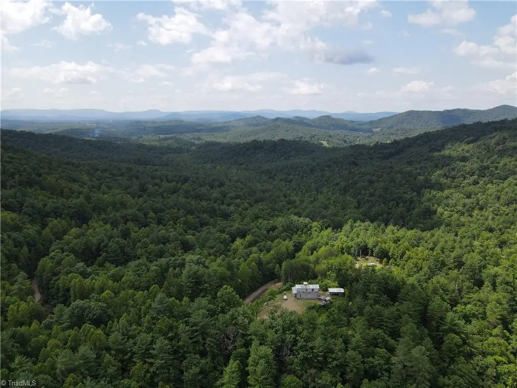 2668 Reedy Branch Road, Purlear, NC 28665 - #1