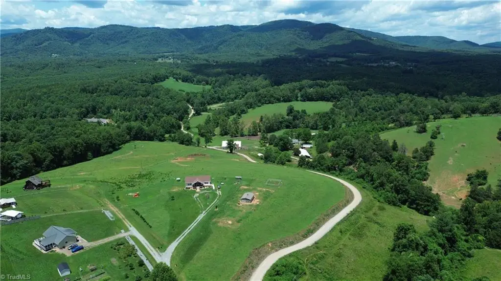 310 Triple Creek Drive, Traphill, NC 28685 - #1