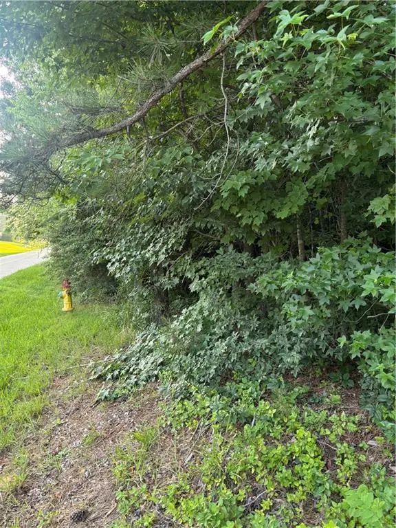 311 Bethesda Road, Lexington, NC 27295 - #3