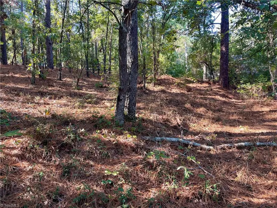 0 Hylan Avenue, Hamlet, NC 28345 - #3