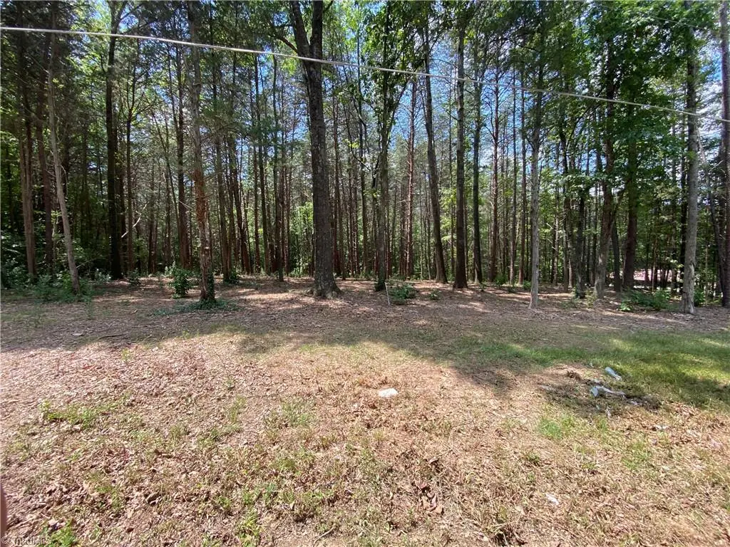 00 Oak Street, Ramseur, NC 27316 - #1