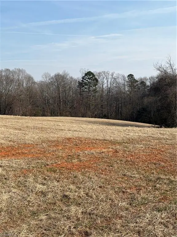 LOT 2B Cedarcreek Drive, Elkin, NC 28621 - #2