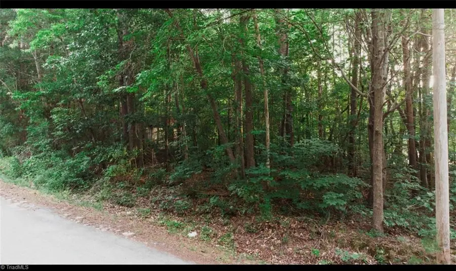0 Rockaway Drive, Midway, NC 27107 - #3