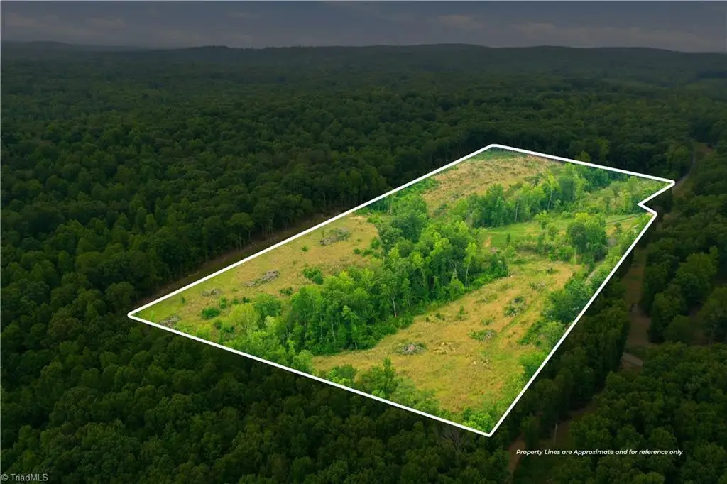 00 Cane Creek Road, Snow Camp, NC 27349 - #1
