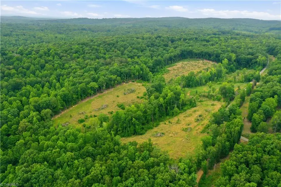 00 Cane Creek Road, Snow Camp, NC 27349 - #2