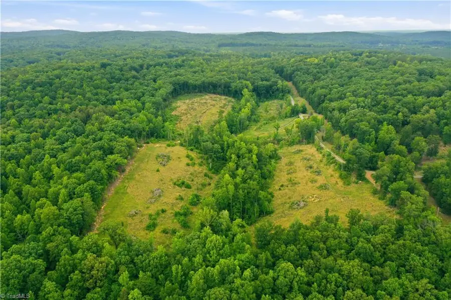 00 Cane Creek Road, Snow Camp, NC 27349 - #3