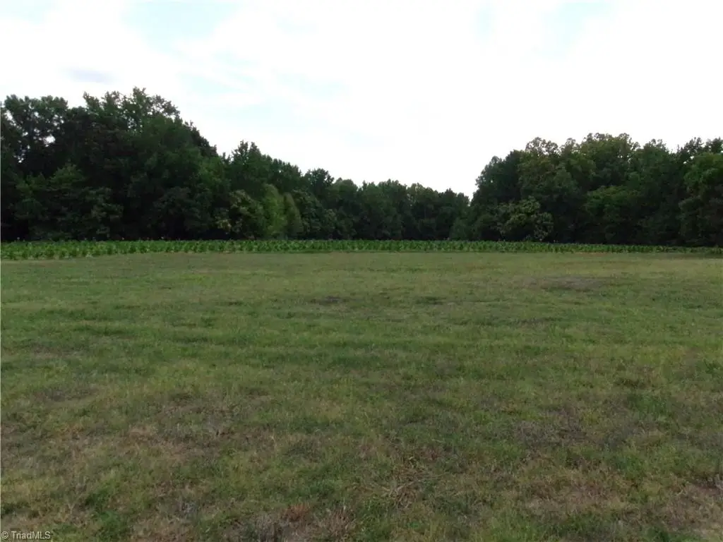 1706 Mount Hope Church Road, McLeansville, NC 27301 - #1