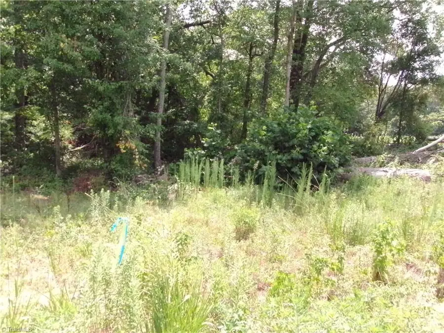 1706 Mount Hope Church Road, McLeansville, NC 27301 - #3