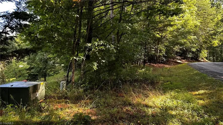 00A Higgins Road, Wilkesboro, NC 28697 - #3