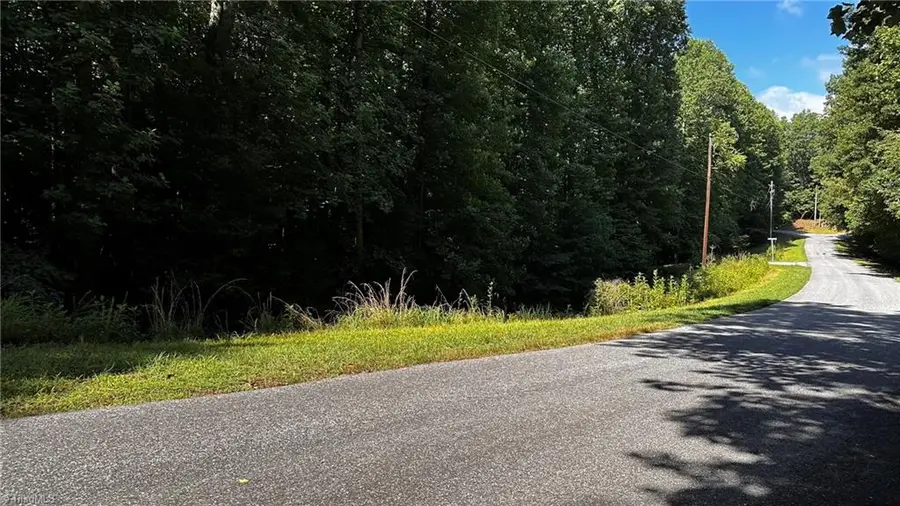 00C Higgins Road, Wilkesboro, NC 28697 - #2
