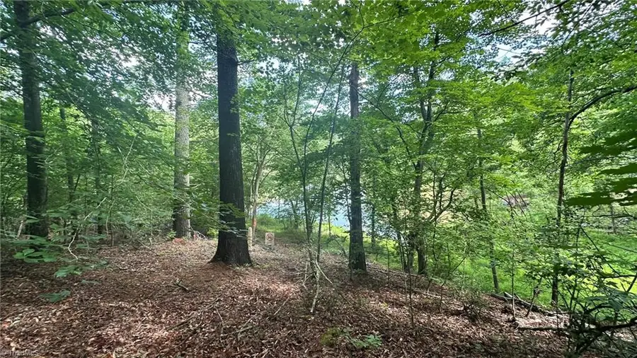 00C High Point Cove, Wilkesboro, NC 28697 - #3