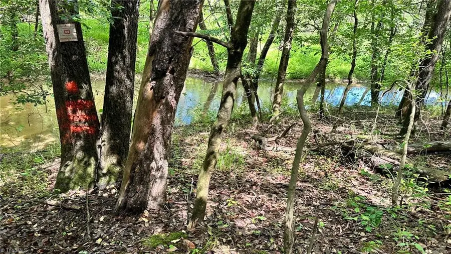 00E High Point Cove, Wilkesboro, NC 28697 - #3
