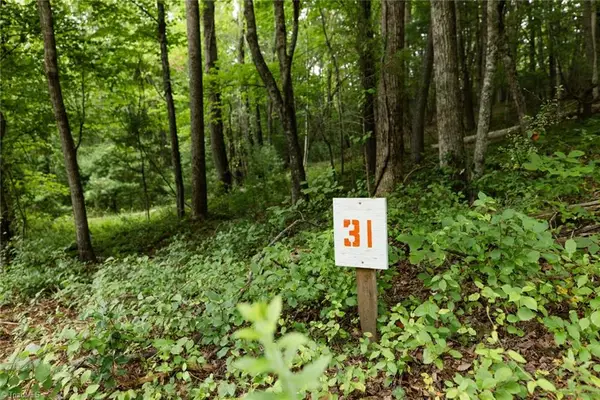 TBD Mcintosh Drive, Lowgap, NC 27024