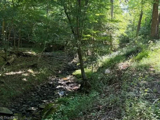 3308 Creekridge Country Road, Randleman, NC 27317 - #1