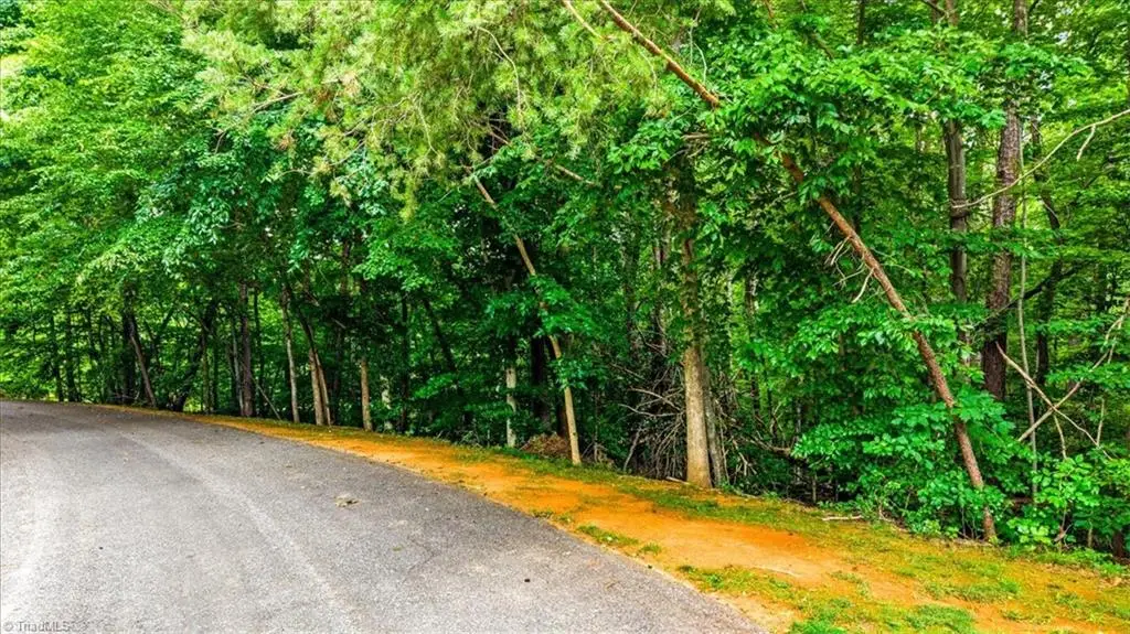 8006 Chatsworth Court, Browns Summit, NC 27214 - #1