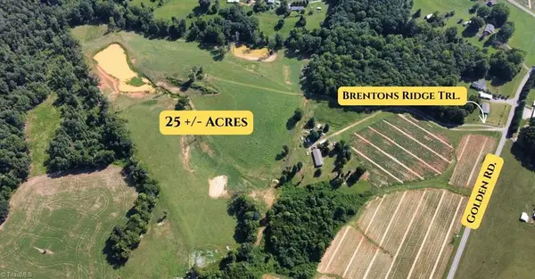 245 Brentons Ridge Trail, State Road, NC 28676